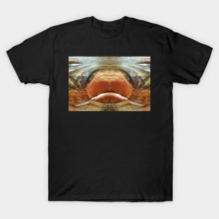 Wood Grain Face by Adelaide Artist Avril Thomas T-Shirt